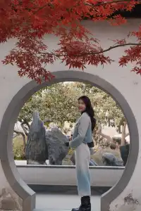 何園的雞爪槭，已經進入「高光時刻」