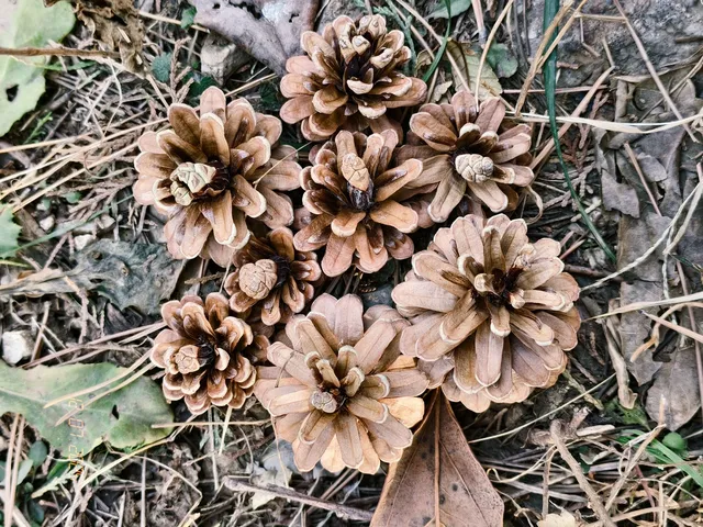 我眼中的青州 我眼中的青州