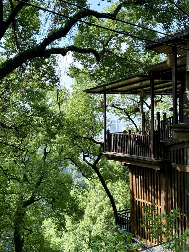 重慶主城!最喜歡的citywalk路線好治癒… 重慶主城!最喜歡的citywalk路線好治癒…