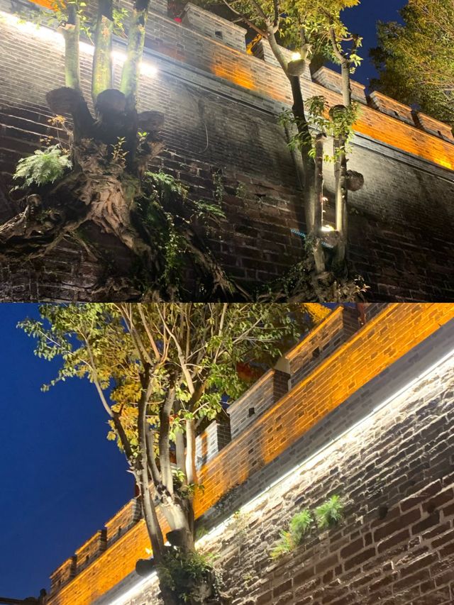 【西昌｜闖入春天最早抵達的城市，在藍花楹與邛海邊做個夢】