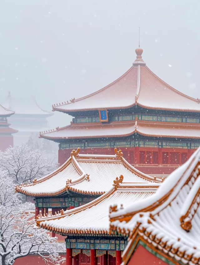紫禁冬韻 | 紅牆白雪與時光的詩