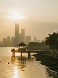 深圳福田紅樹林冬季親子遊 免費遛娃天花板！