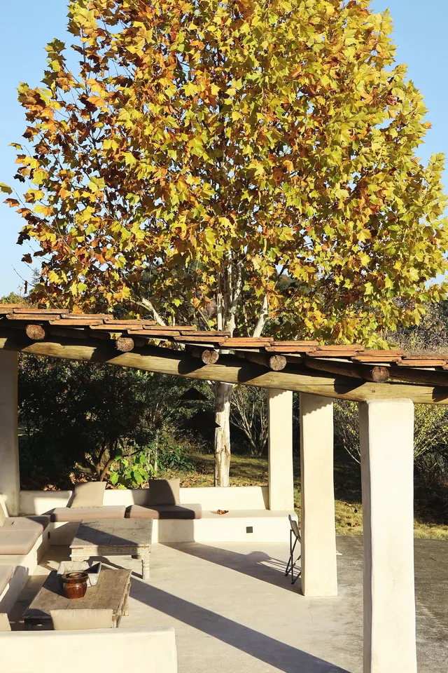 環境滿分的千島湖民宿 環境滿分的千島湖民宿