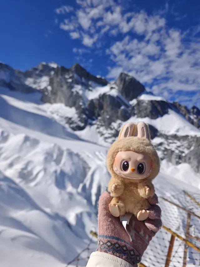 自駕玉龍雪山 牦牛坪藍月谷冰川公園攻略