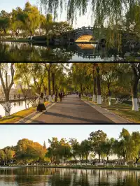 玄武湖|秋日序章