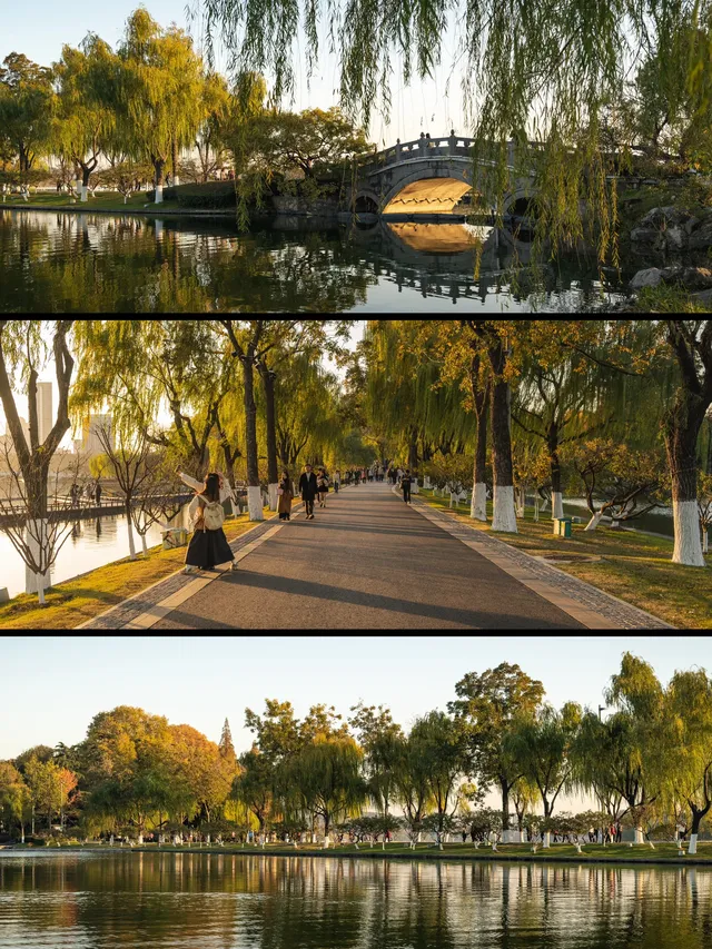 玄武湖|秋日序章 玄武湖|秋日序章