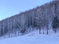 禾木冬季攝影攻略