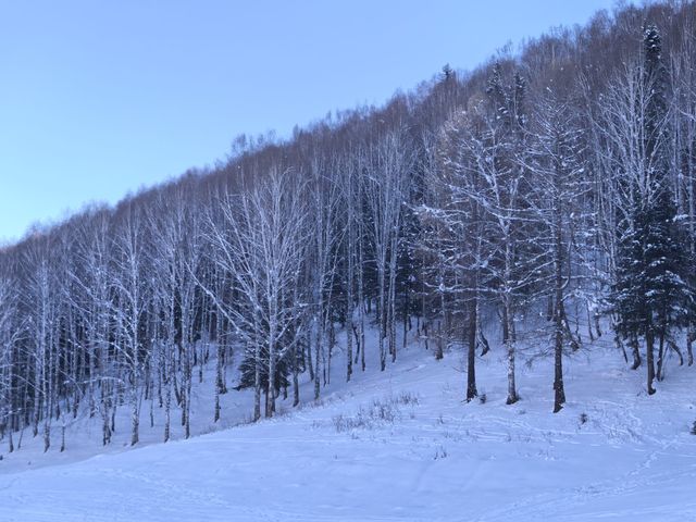 禾木冬季攝影攻略