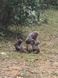 新手徒步路線|城門水塘(附攻略)