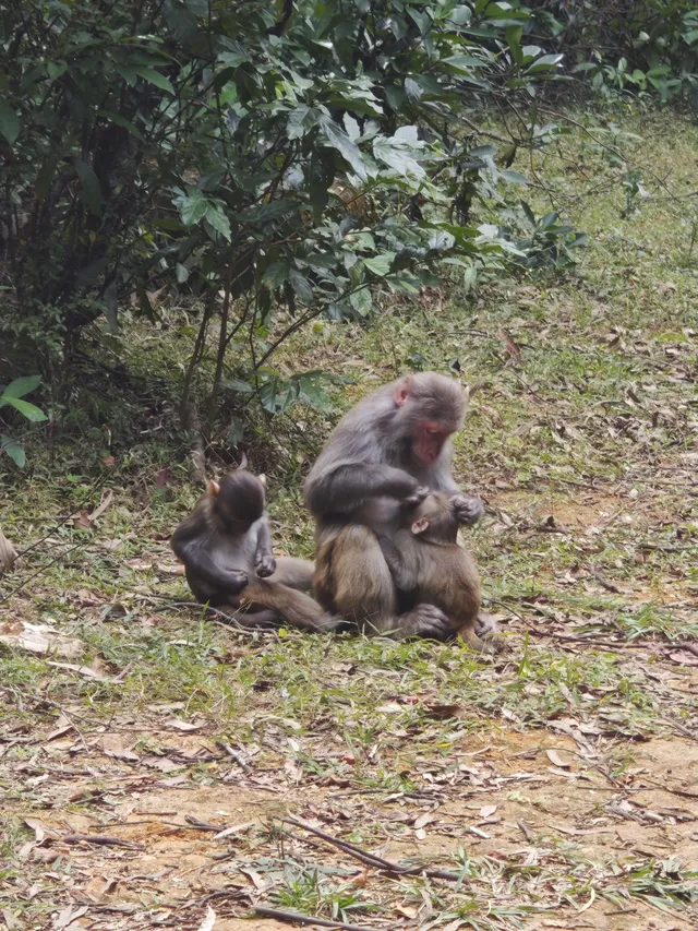 新手徒步路線|城門水塘(附攻略) 新手徒步路線|城門水塘(附攻略)