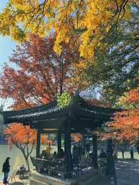 一座公園愛上一座城|我見到駱賓王詩裡的鵝