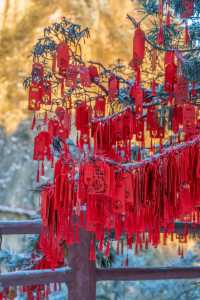 冰雪老君山兩日手記