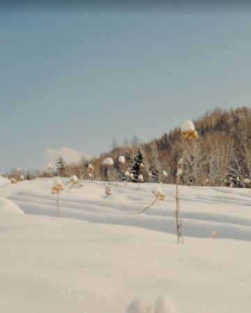 북강 '설경 온천 힐링' · 온천 웰빙