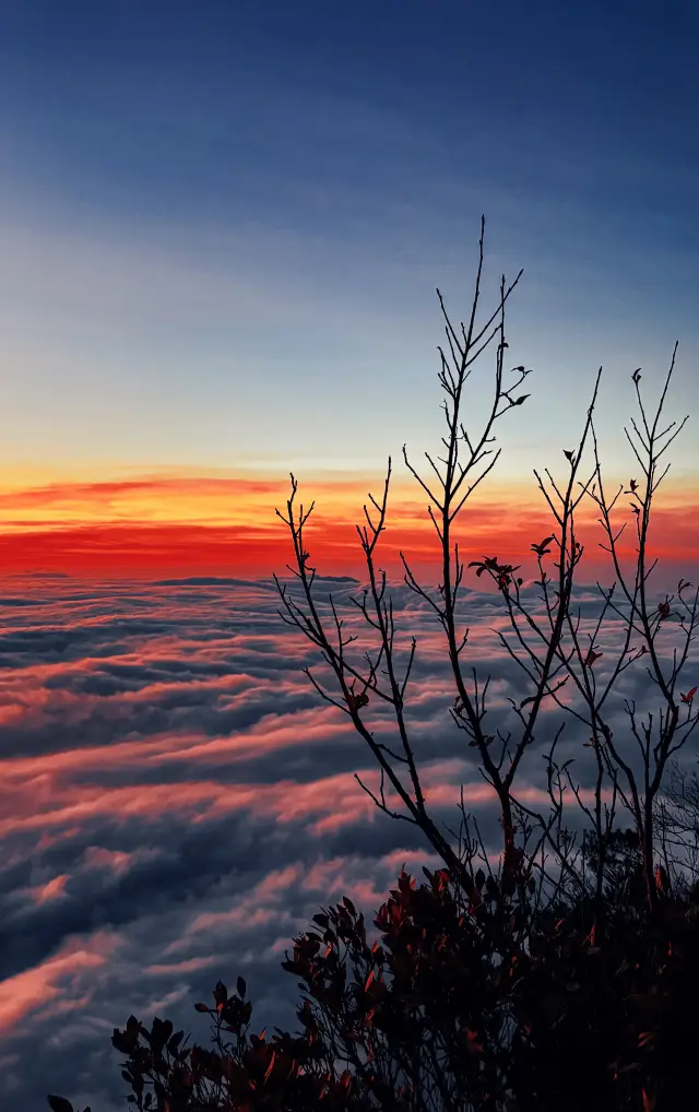 Wuzhishan Cold Wave Sea of Clouds Sunrise｜The Ultimate Romance at 2°C