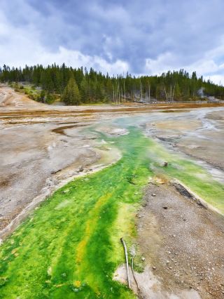 겨울방학 출발 미국 6일 여행 가이드로 아름다운 겨울 풍경을 만끽하세요
