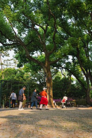 "'ซูโจวน้อย' แห่งเซี่ยงไฮ้ซ่อนไว้ไม่อยู่แล้ว! ฤดูใบไม้ผลิที่สวนกู่อี้สวยงามจนคุณอยากจะอยู่ที่นั่นตลอดไป"