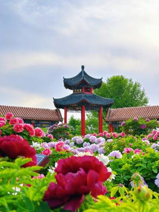 4月は花と神々を讃える季節です。この記事には、知っておくべきことがすべて詰まっています！