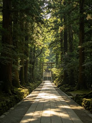 A Japanese-style hidden gem in Central Japan! Nagoya: A trip that will capture your heart 🌿