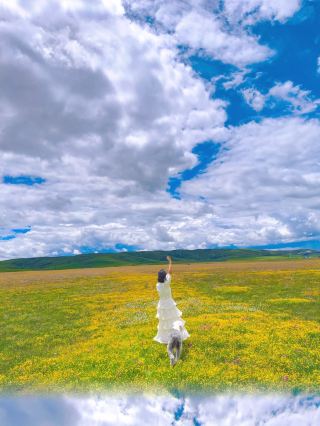 쓰촨 서부의 무료 꽃밭 비경은 사람도 적고 경치도 너무 아름다워요