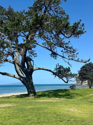 Auckland, a city blessed by God, must-see attractions: Mount Eden: Mount Eden is...