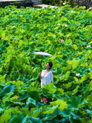 College Entrance Examination Concluded, New Journey Begins | Free Admission to Yixian County Now Available