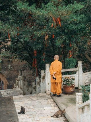 禪意古寺一日遊指南