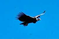 Amazing 15-Day Private Tour in Peru