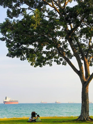 Singapore | The top choice for a free, healing seaside park