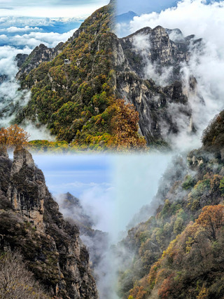The 10,000-acre red birch forest at Baishishan is at its peak! Taihang's unique peaks meet mountains of orange-red