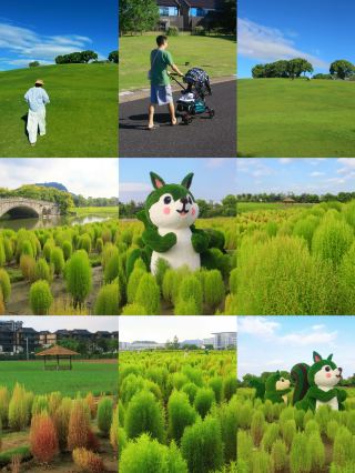 วนรอบเซียงหูเส้นทางเล็ก | เดินเล่น ปั่นจักรยาน พาลูกเที่ยว ครบจบในที่เดียว!