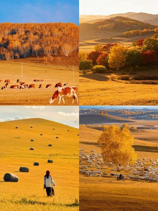 Sungguh Tidak Disarankan Ke Ulan Butong di Bulan Oktober, Cuma yang Pernah ke Sana yang Paham! 🍂