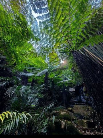 Travel back to the dinosaur era for a CNY 10 admission? A complete guide to hiking, photography, and food in Suoluo Valley