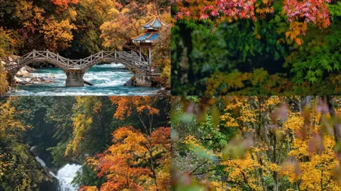 청두 근교의 작은 스위스! 쓰촨 서부의 숨겨진 보물 같은 비경 — traveler post in 야안