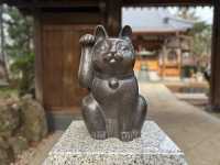 【豪徳寺】招き猫に囲まれるしあわせ♡