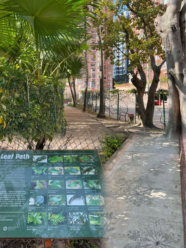 香港打卡+親子活動🍀屯門黃金海岸新春半日遊