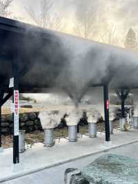 熊本/小国町　温泉の蒸気を利用した地獄蒸しが美味しすぎる‼︎🥚♨️