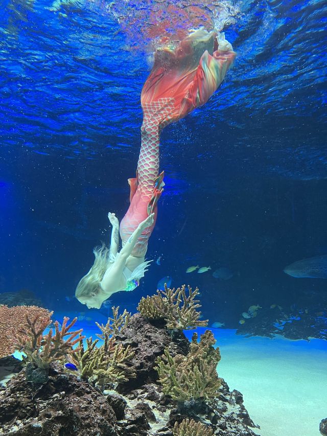 수원 광교 실내데이트 장소🧜🏻‍♀️