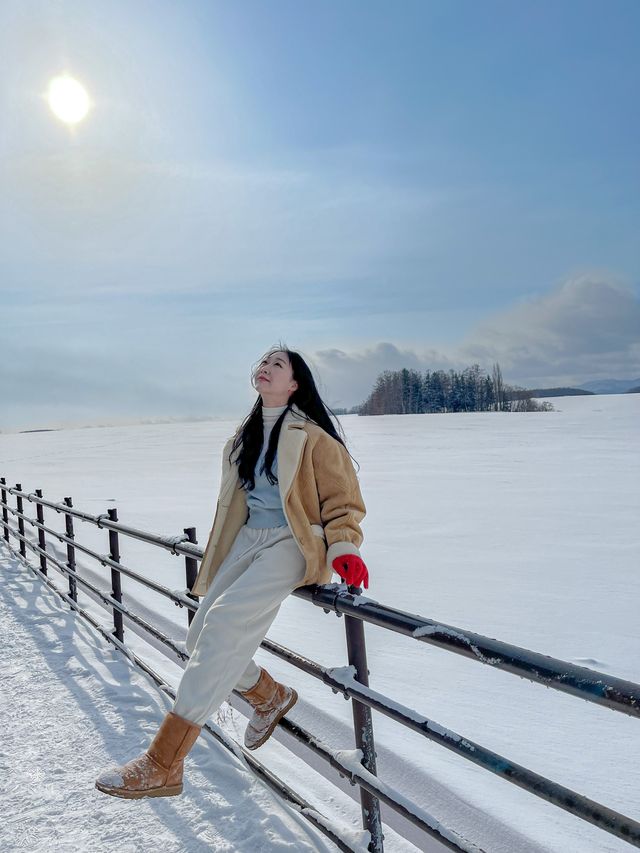 최고 설경을 패치워크 로드에서.. ❄️