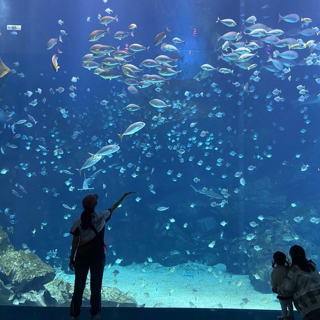 Xpark aquarium in taipei taoyuan