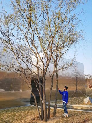 Asan Cafe Monamur, сложное культурное пространство🌳