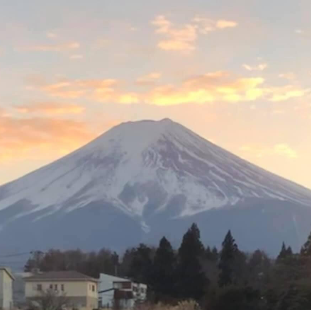 河口湖自然生活館‼️欣賞大自然之美🫶🏻富士山🗻下的浪漫💕