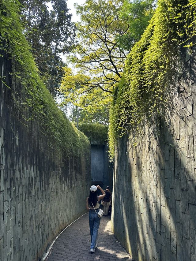 มุมถ่ายรูปสุดปังในสิงคโปร์ บอกเลยห้ามพลาด