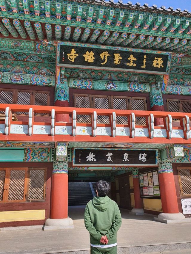 예산여행 필수코스는 한옥감성으로 즐겨요🤎