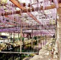 天王川公園