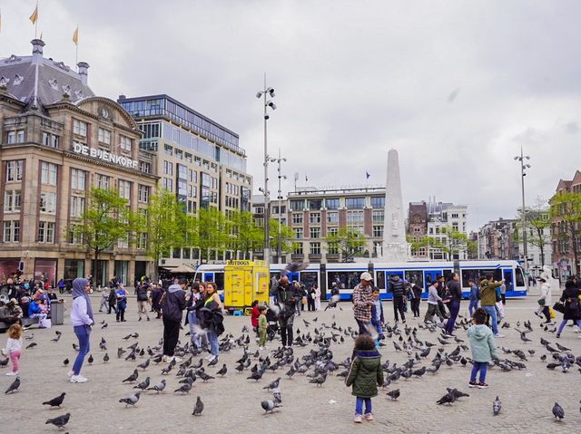 阿姆斯特丹🇳🇱整個城市中最有活力的地方