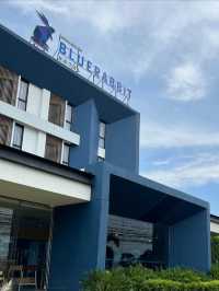 Blue rabbit Chanthaburi