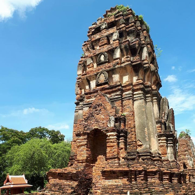 Ayutthaya,Thailand 🇹🇭