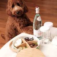 Pet Staycation at Intercontinental Singapore