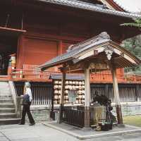 動物園+神社+博物館+櫻花+銀杏=上野公園