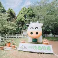【千葉】夏休みの期間中、いつでもヒマワリが見れちゃう！？「成田ゆめ牧場」で素敵な夏の思い出を作り✨